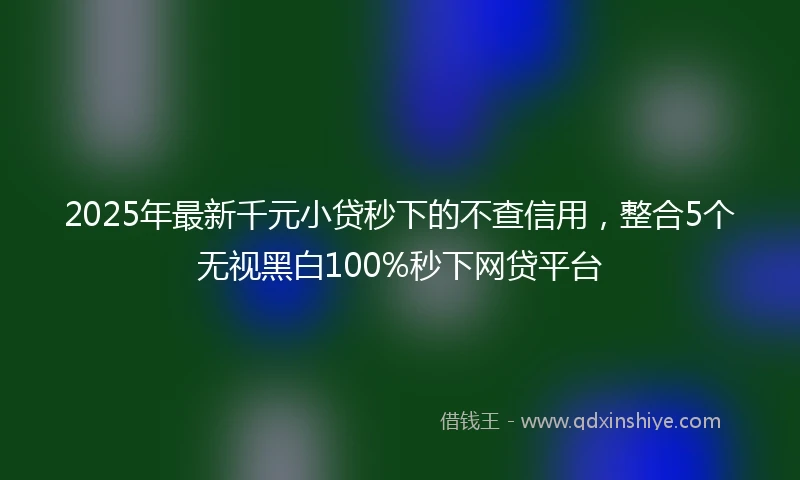 2025年最新千元小贷秒下的不查信用，整合5个无视黑白100%秒下网贷平台