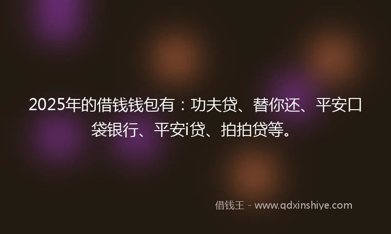 2025年的借钱钱包有：功夫贷、替你还、平安口袋银行、平安i贷、拍拍贷等。