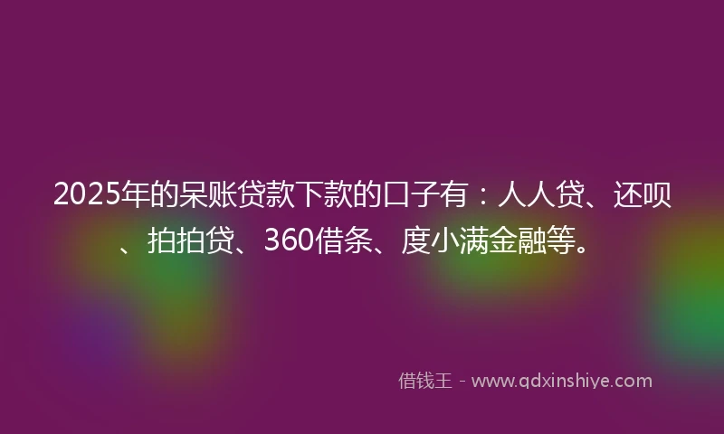 2025年的呆账贷款下款的口子有：人人贷、还呗、拍拍贷、360借条、度小满金融等。
