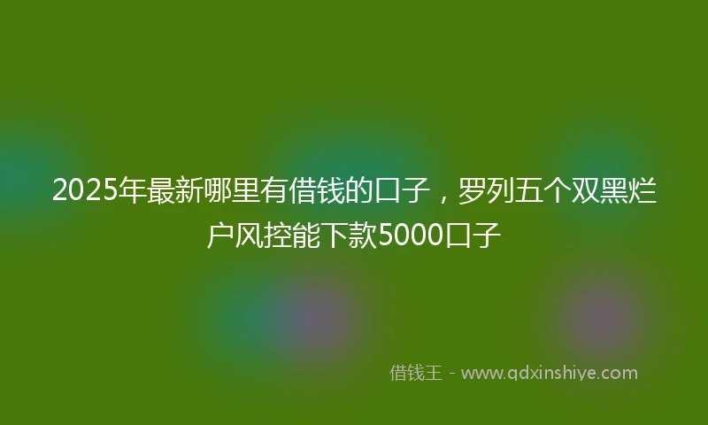 2025年最新哪里有借钱的口子，罗列五个双黑烂户风控能下款5000口子