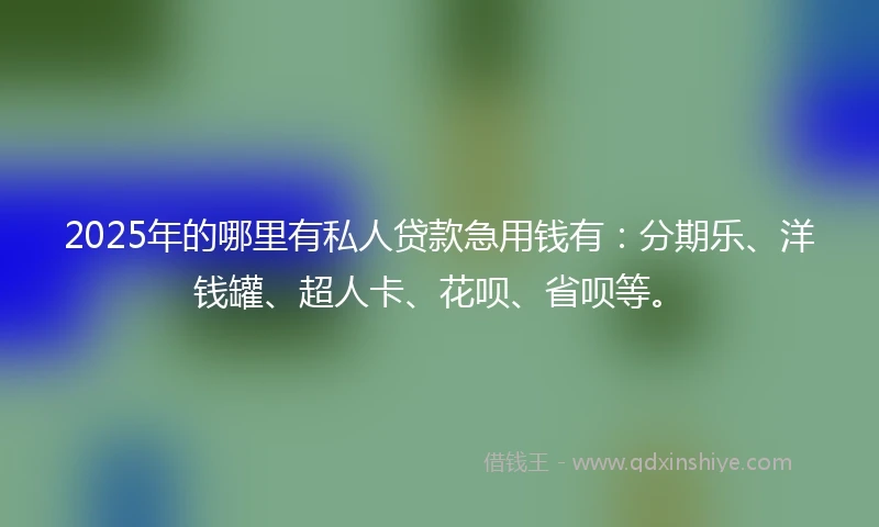 2025年的哪里有私人贷款急用钱有：分期乐、洋钱罐、超人卡、花呗、省呗等。