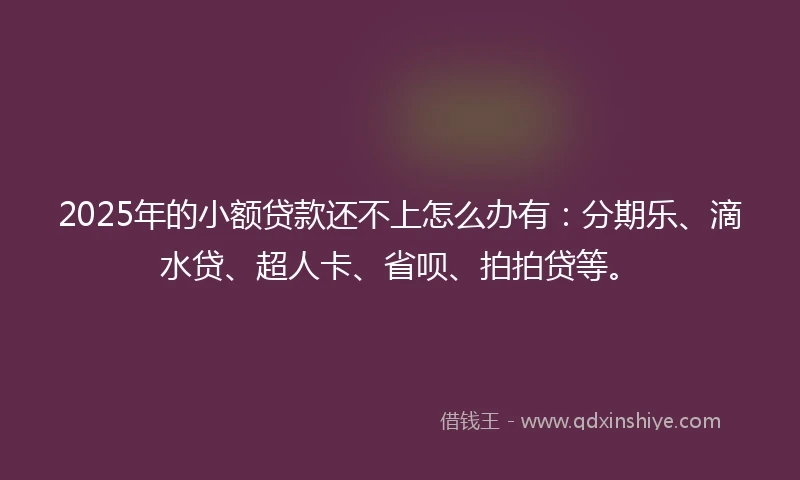 2025年的小额贷款还不上怎么办有：分期乐、滴水贷、超人卡、省呗、拍拍贷等。