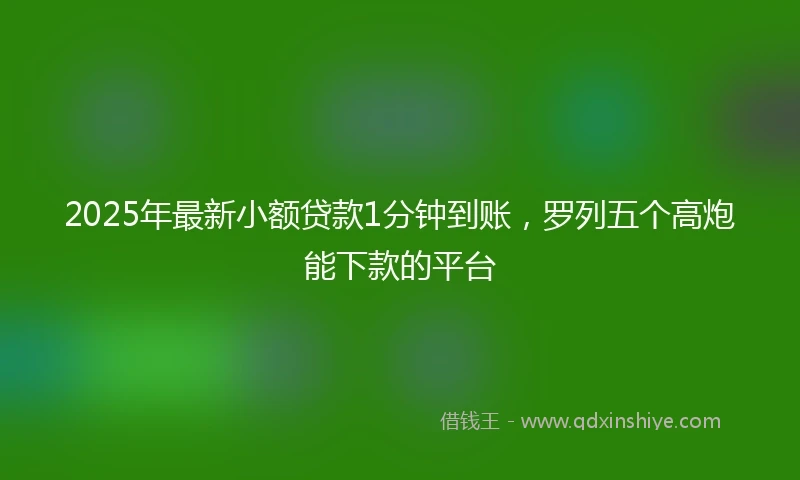2025年最新小额贷款1分钟到账，罗列五个高炮能下款的平台