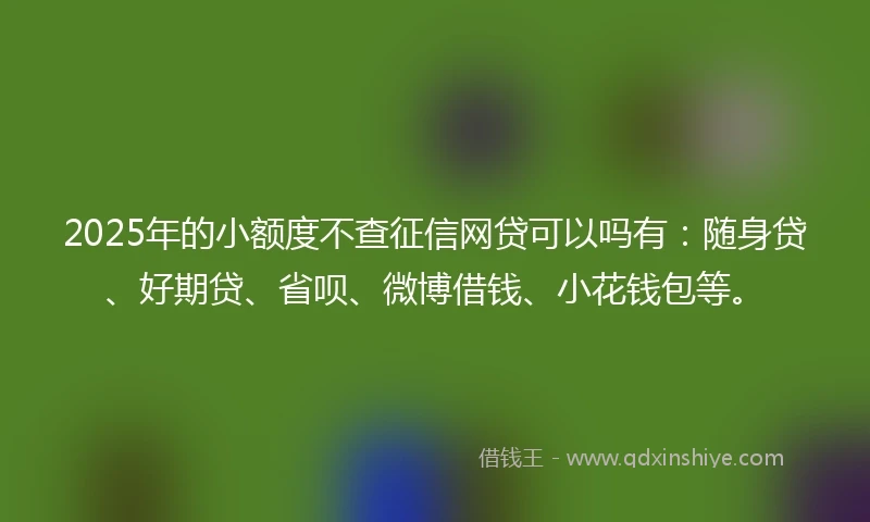 2025年的小额度不查征信网贷可以吗有：随身贷、好期贷、省呗、微博借钱、小花钱包等。