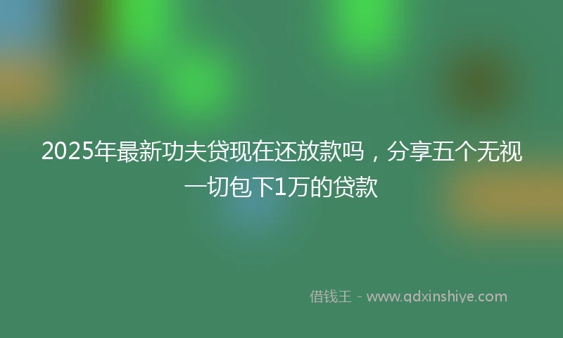 2025年最新功夫贷现在还放款吗，分享五个无视一切包下1万的贷款