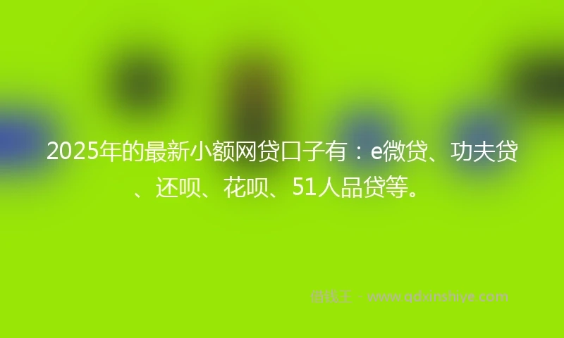 2025年的最新小额网贷口子有：e微贷、功夫贷、还呗、花呗、51人品贷等。