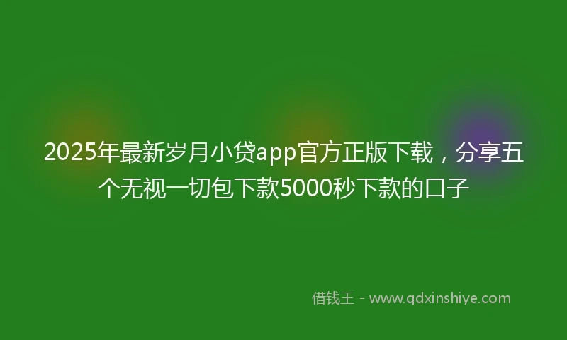 2025年最新岁月小贷app官方正版下载，分享五个无视一切包下款5000秒下款的口子