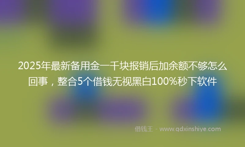 2025年最新备用金一千块报销后加余额不够怎么回事，整合5个借钱无视黑白100%秒下软件