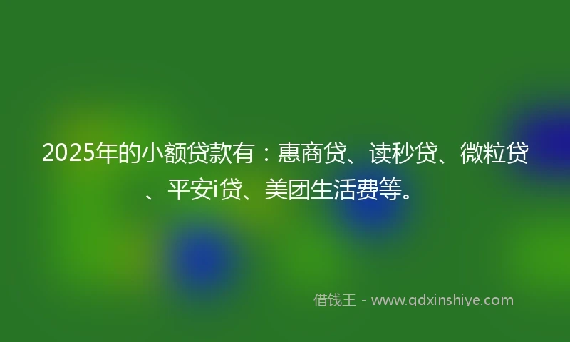 2025年的小额贷款有：惠商贷、读秒贷、微粒贷、平安i贷、美团生活费等。