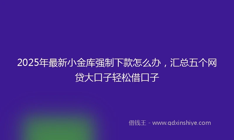 2025年最新小金库强制下款怎么办，汇总五个网贷大口子轻松借口子