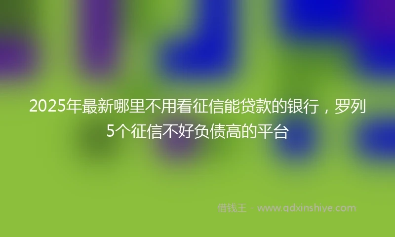 2025年最新哪里不用看征信能贷款的银行，罗列5个征信不好负债高的平台