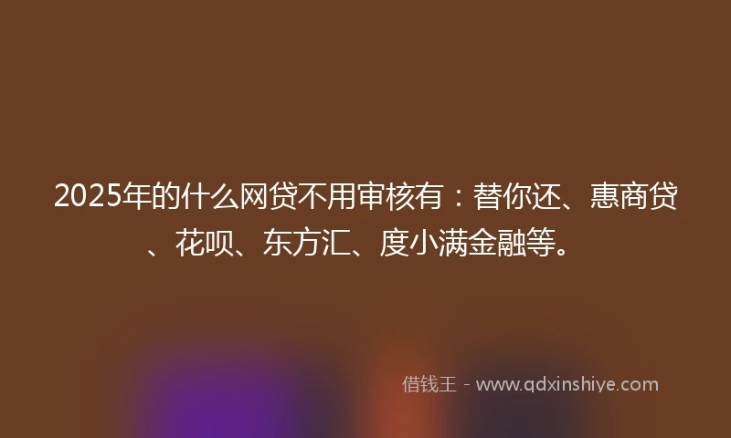 2025年的什么网贷不用审核有：替你还、惠商贷、花呗、东方汇、度小满金融等。