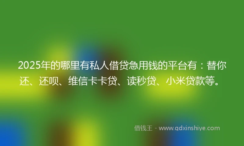2025年的哪里有私人借贷急用钱的平台有：替你还、还呗、维信卡卡贷、读秒贷、小米贷款等。