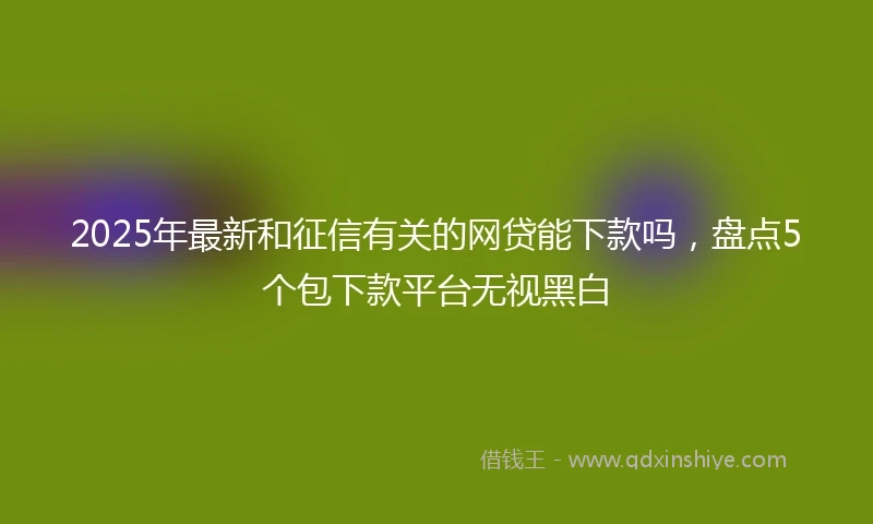 2025年最新和征信有关的网贷能下款吗，盘点5个包下款平台无视黑白