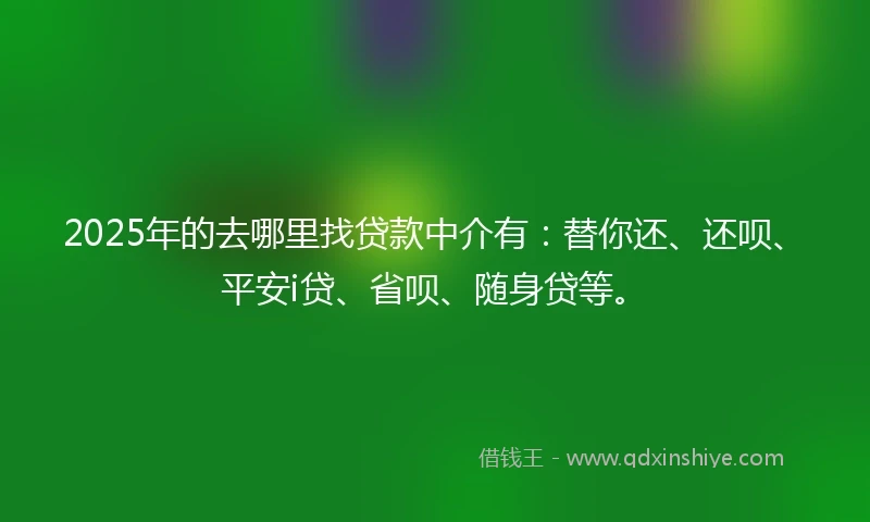 2025年的去哪里找贷款中介有：替你还、还呗、平安i贷、省呗、随身贷等。