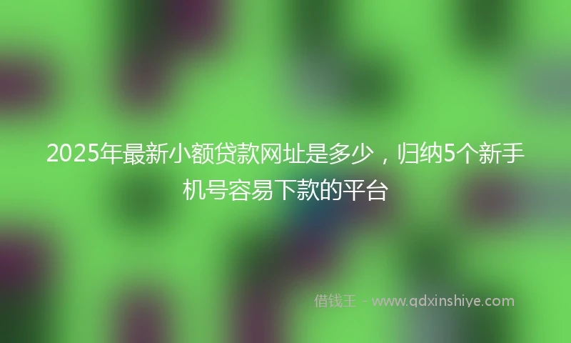2025年最新小额贷款网址是多少，归纳5个新手机号容易下款的平台