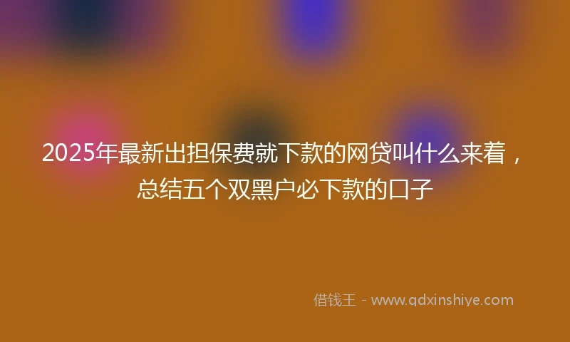 2025年最新出担保费就下款的网贷叫什么来着，总结五个双黑户必下款的口子