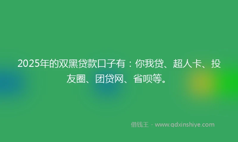 2025年的双黑贷款口子有：你我贷、超人卡、投友圈、团贷网、省呗等。