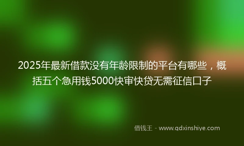 2025年最新借款没有年龄限制的平台有哪些，概括五个急用钱5000快审快贷无需征信口子