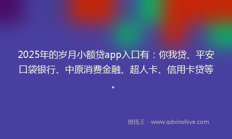 2025年的岁月小额贷app入口有：你我贷、平安口袋银行、中原消费金融、超人卡、信用卡贷等。