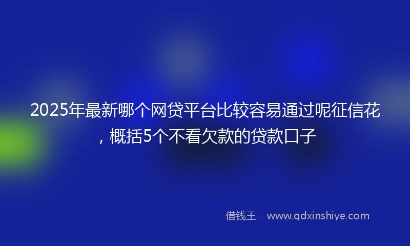 2025年最新哪个网贷平台比较容易通过呢征信花，概括5个不看欠款的贷款口子