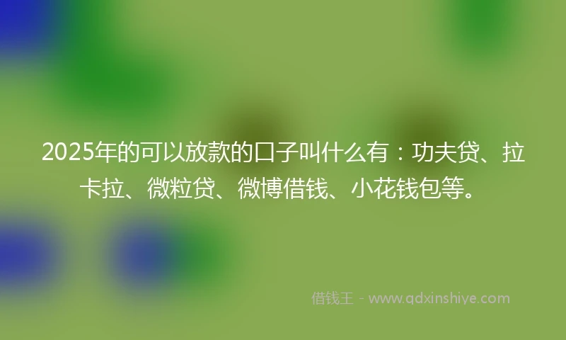 2025年的可以放款的口子叫什么有：功夫贷、拉卡拉、微粒贷、微博借钱、小花钱包等。
