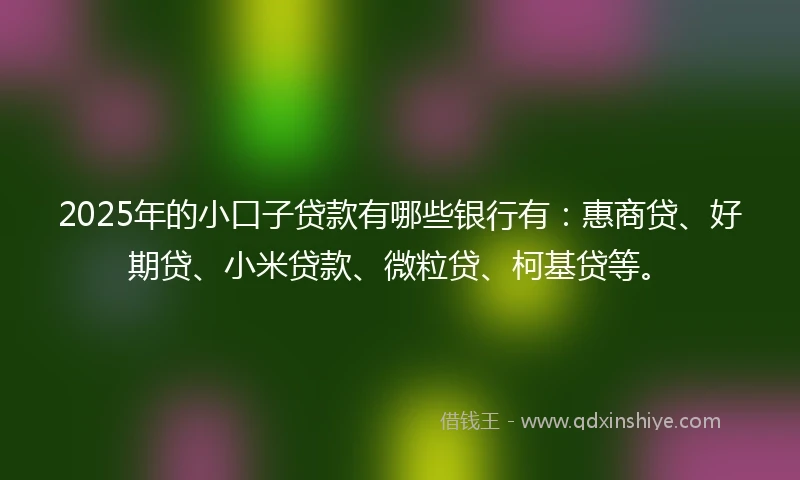 2025年的小口子贷款有哪些银行有：惠商贷、好期贷、小米贷款、微粒贷、柯基贷等。