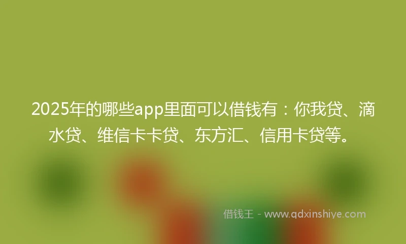 2025年的哪些app里面可以借钱有：你我贷、滴水贷、维信卡卡贷、东方汇、信用卡贷等。