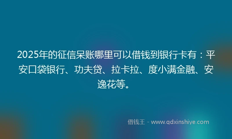 2025年的征信呆账哪里可以借钱到银行卡有：平安口袋银行、功夫贷、拉卡拉、度小满金融、安逸花等。