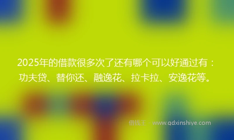 2025年的借款很多次了还有哪个可以好通过有：功夫贷、替你还、融逸花、拉卡拉、安逸花等。