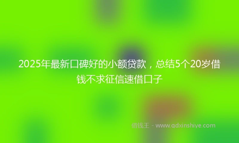2025年最新口碑好的小额贷款，总结5个20岁借钱不求征信速借口子