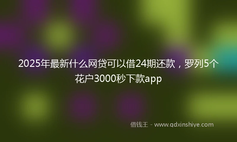 2025年最新什么网贷可以借24期还款，罗列5个花户3000秒下款app