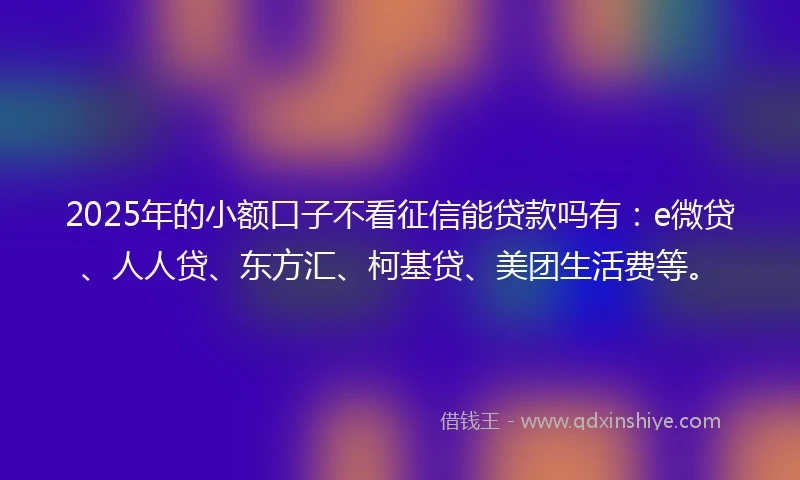 2025年的小额口子不看征信能贷款吗有：e微贷、人人贷、东方汇、柯基贷、美团生活费等。
