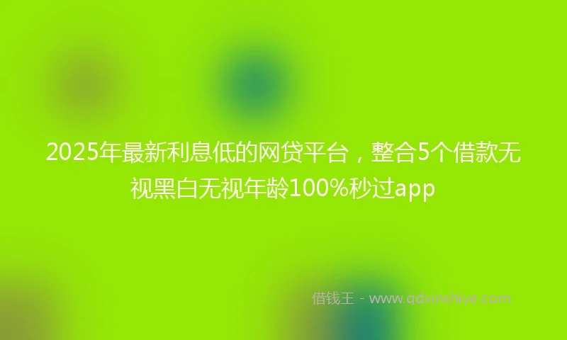 2025年最新利息低的网贷平台，整合5个借款无视黑白无视年龄100%秒过app