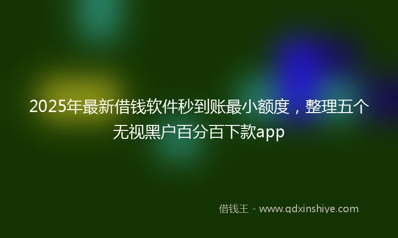 2025年最新借钱软件秒到账最小额度，整理五个无视黑户百分百下款app