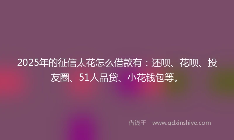 2025年的征信太花怎么借款有：还呗、花呗、投友圈、51人品贷、小花钱包等。