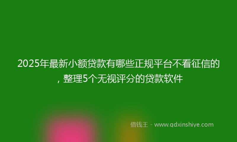 2025年最新小额贷款有哪些正规平台不看征信的，整理5个无视评分的贷款软件