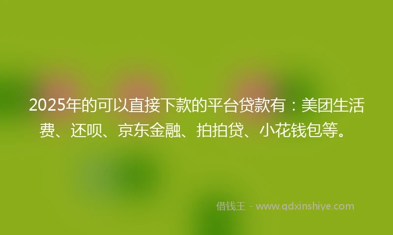 2025年的可以直接下款的平台贷款有：美团生活费、还呗、京东金融、拍拍贷、小花钱包等。