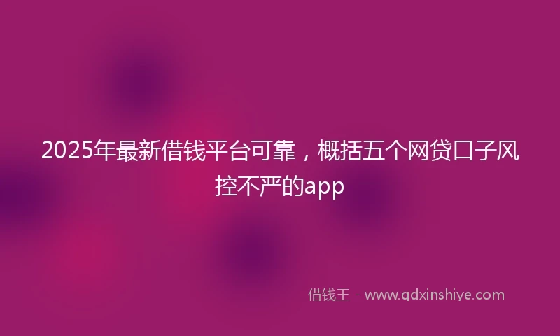 2025年最新借钱平台可靠，概括五个网贷口子风控不严的app