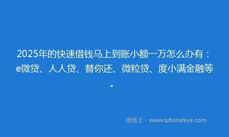 2025年的快速借钱马上到账小额一万怎么办有：e微贷、人人贷、替你还、微粒贷、度小满金融等。