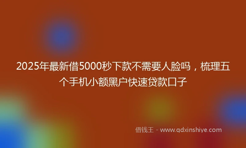 2025年最新借5000秒下款不需要人脸吗，梳理五个手机小额黑户快速贷款口子