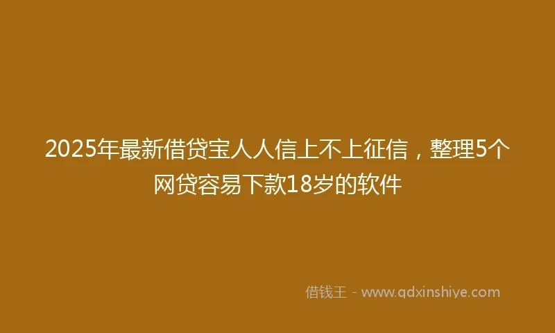 2025年最新借贷宝人人信上不上征信，整理5个网贷容易下款18岁的软件