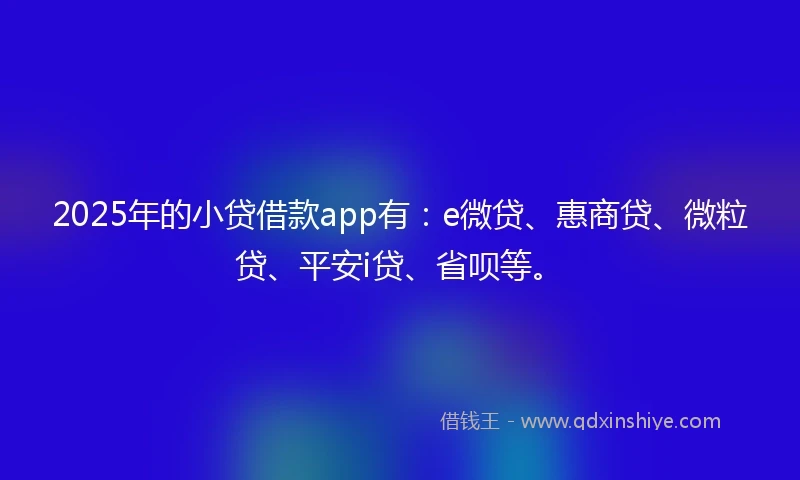 2025年的小贷借款app有：e微贷、惠商贷、微粒贷、平安i贷、省呗等。
