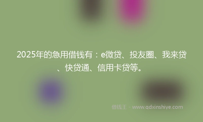 2025年的急用借钱有：e微贷、投友圈、我来贷、快贷通、信用卡贷等。