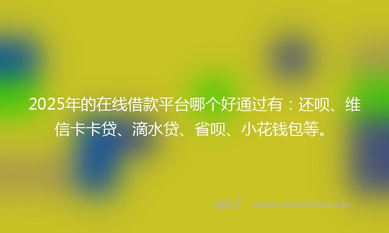 2025年的在线借款平台哪个好通过有：还呗、维信卡卡贷、滴水贷、省呗、小花钱包等。