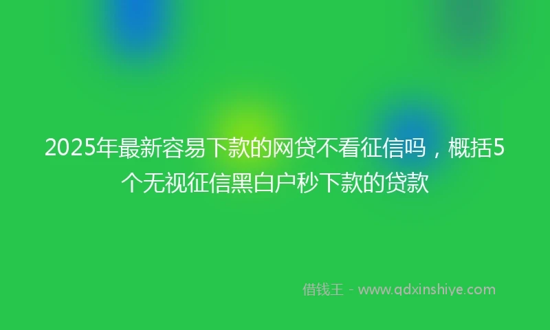 2025年最新容易下款的网贷不看征信吗，概括5个无视征信黑白户秒下款的贷款