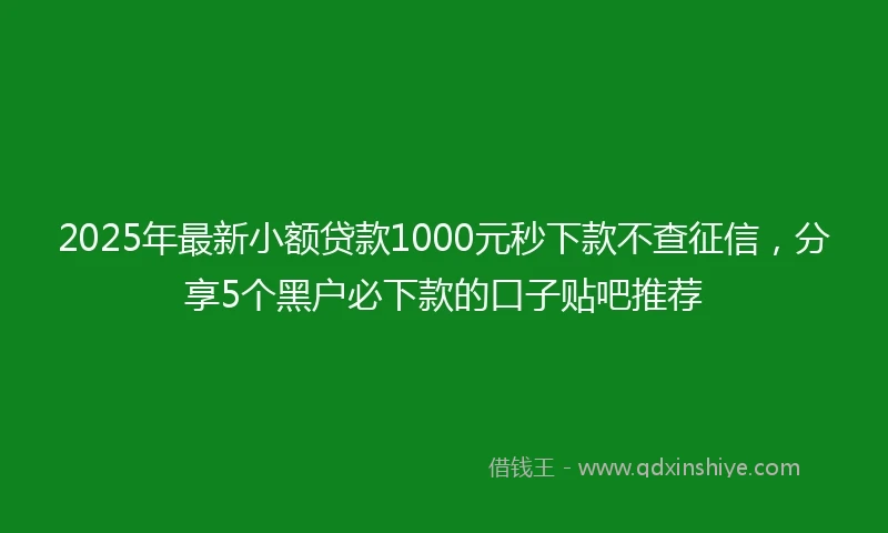 2025年最新小额贷款1000元秒下款不查征信，分享5个黑户必下款的口子贴吧推荐