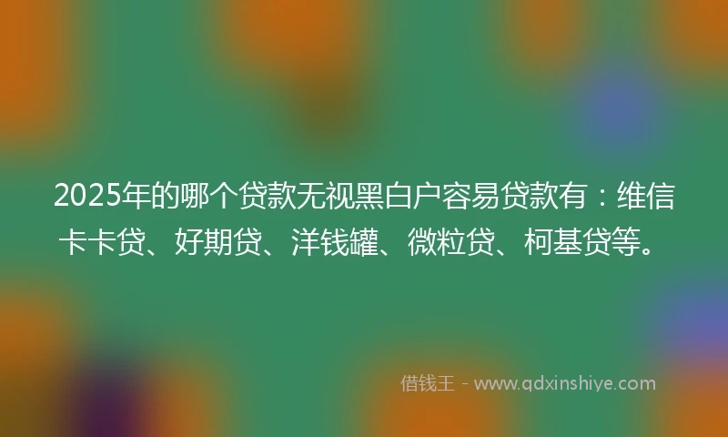 2025年的哪个贷款无视黑白户容易贷款有：维信卡卡贷、好期贷、洋钱罐、微粒贷、柯基贷等。
