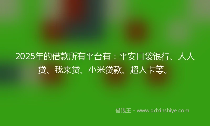 2025年的借款所有平台有：平安口袋银行、人人贷、我来贷、小米贷款、超人卡等。