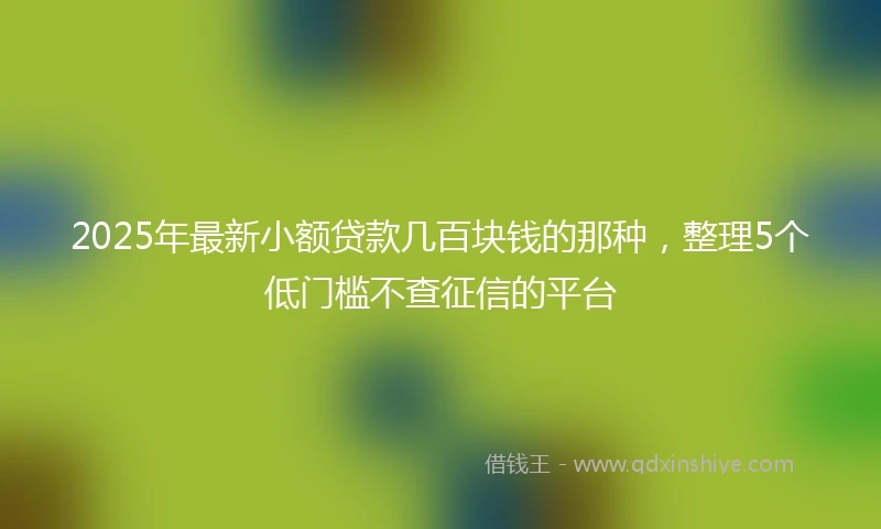2025年最新小额贷款几百块钱的那种，整理5个低门槛不查征信的平台